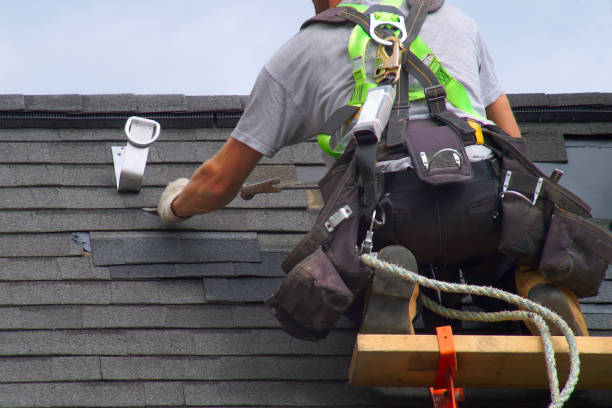 Best Shingle Roofing Installation  in Wartburg, TN