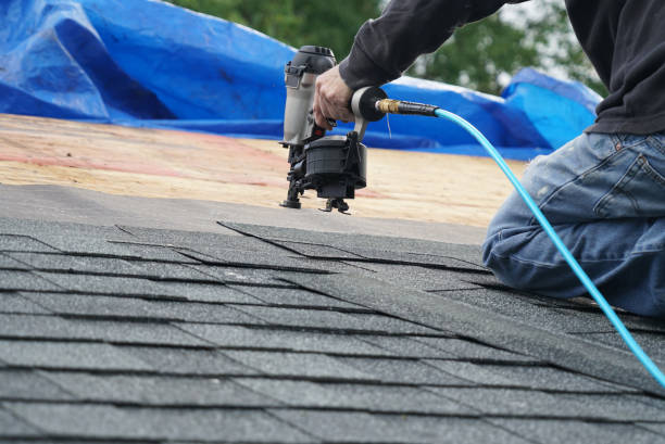 Best Roof Gutter Cleaning  in Wartburg, TN