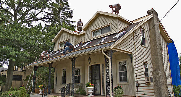Best Emergency Roof Repair  in Wartburg, TN