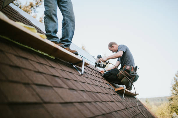Quick and Trustworthy Emergency Roof Repair Services in Wartburg, TN